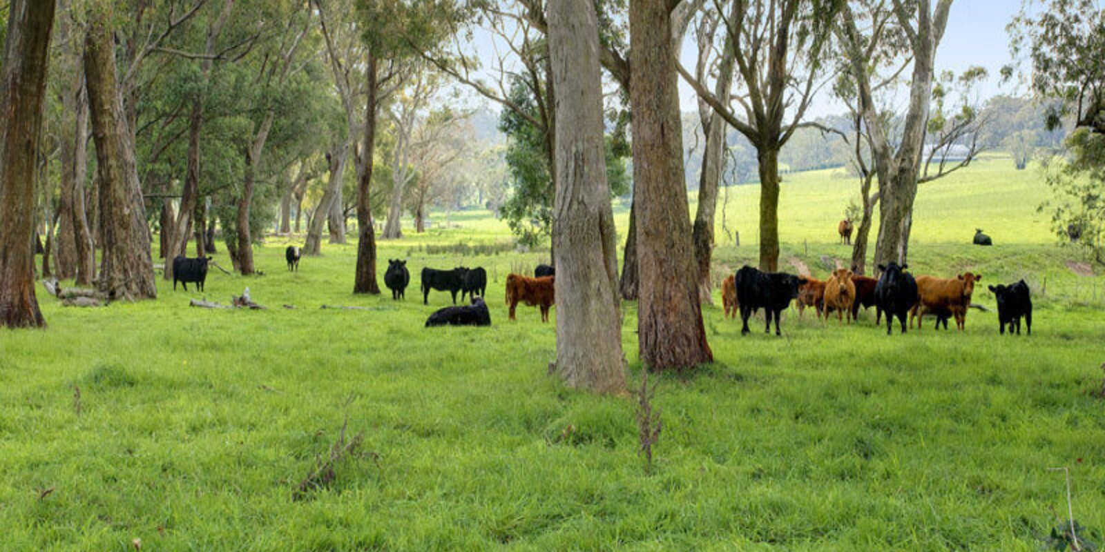 674 'Eureka Pines' Nowra Road Moss Vale