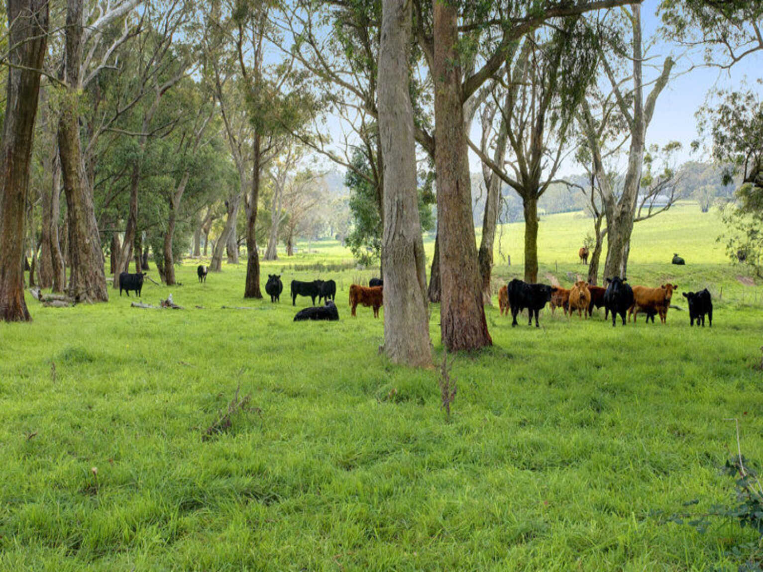 674 'Eureka Pines' Nowra Road Moss Vale