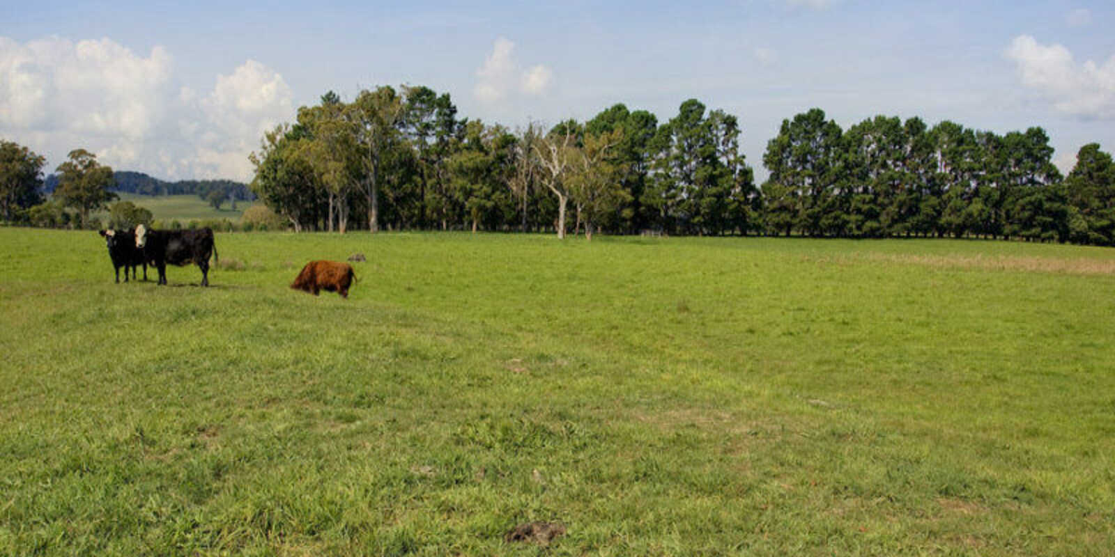 674 'Eureka Pines' Nowra Road Moss Vale