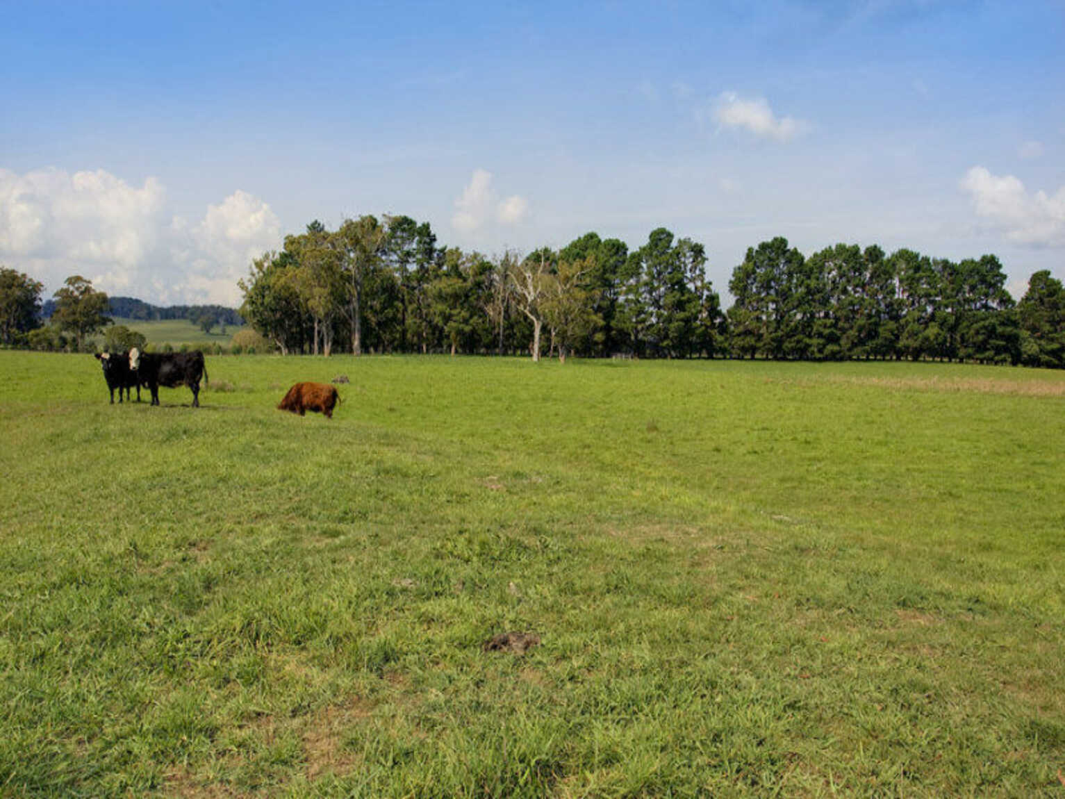 674 'Eureka Pines' Nowra Road Moss Vale