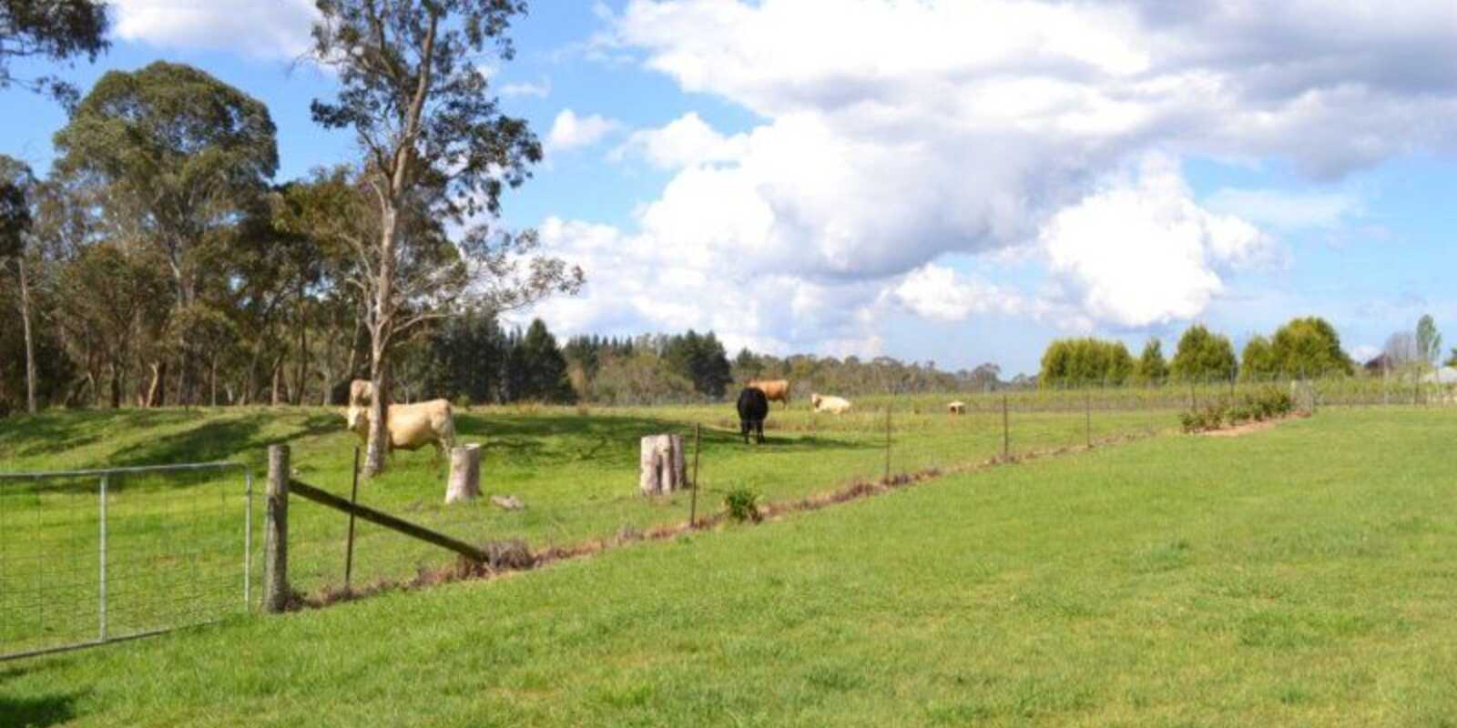 165 Aylmerton Road Mittagong 165 Aylmerton Road Mittagong