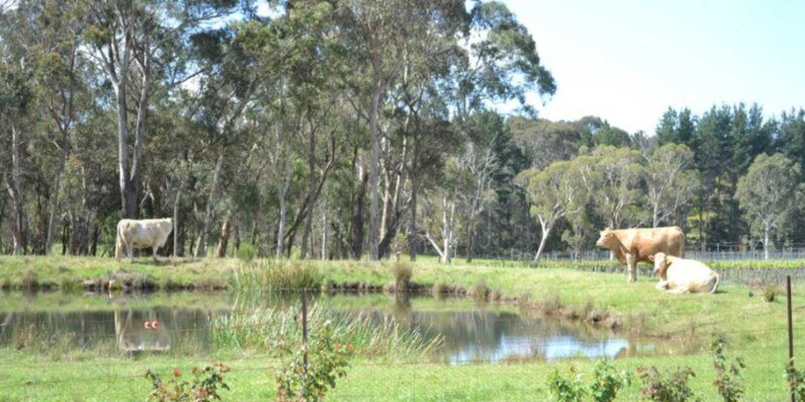 165 Aylmerton Road Mittagong 165 Aylmerton Road Mittagong