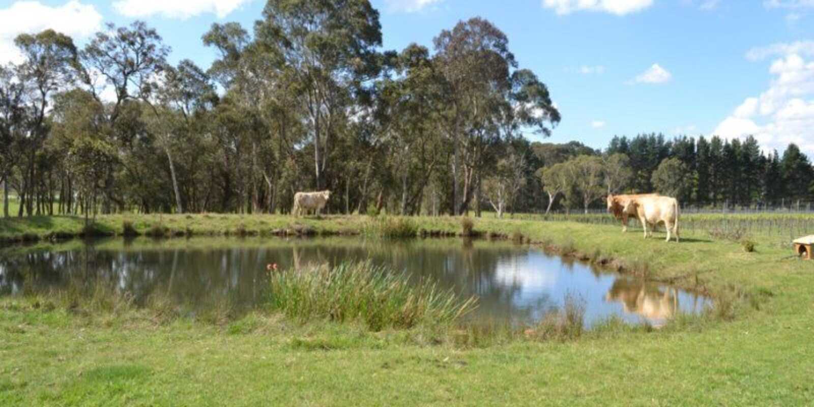165 Aylmerton Road Mittagong 165 Aylmerton Road Mittagong