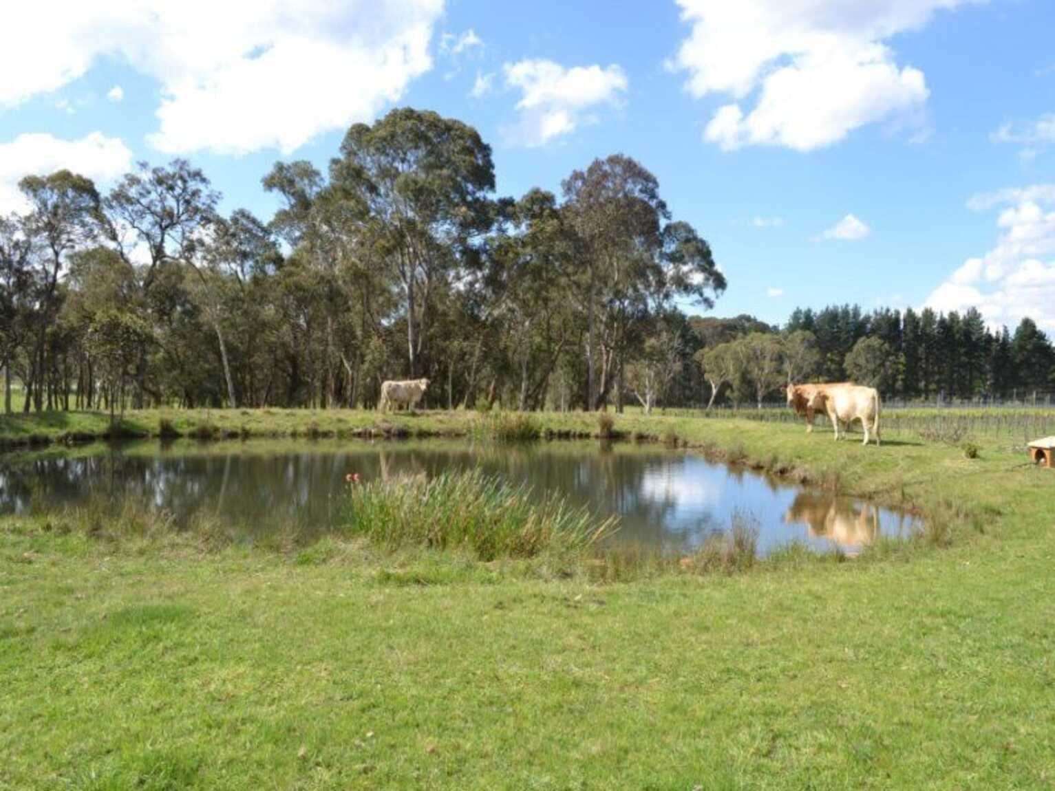 165 Aylmerton Road Mittagong 165 Aylmerton Road Mittagong
