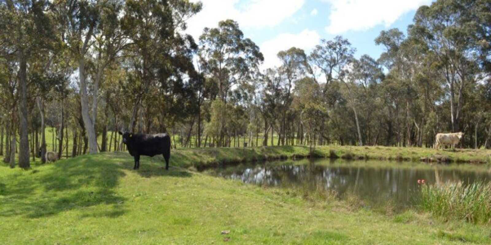 165 Aylmerton Road Mittagong 165 Aylmerton Road Mittagong