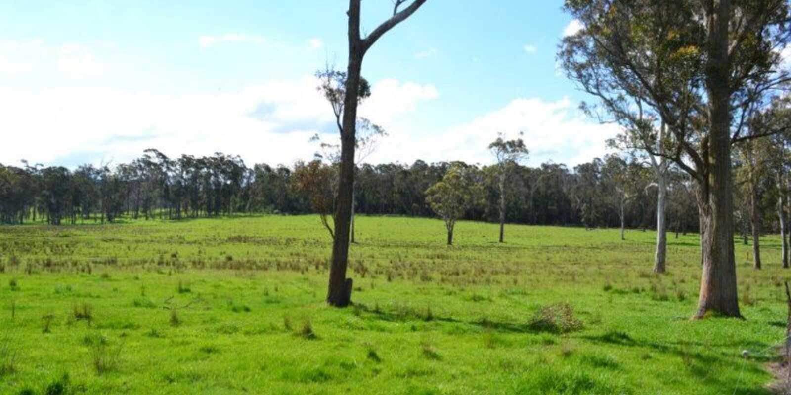165 Aylmerton Road Mittagong 165 Aylmerton Road Mittagong