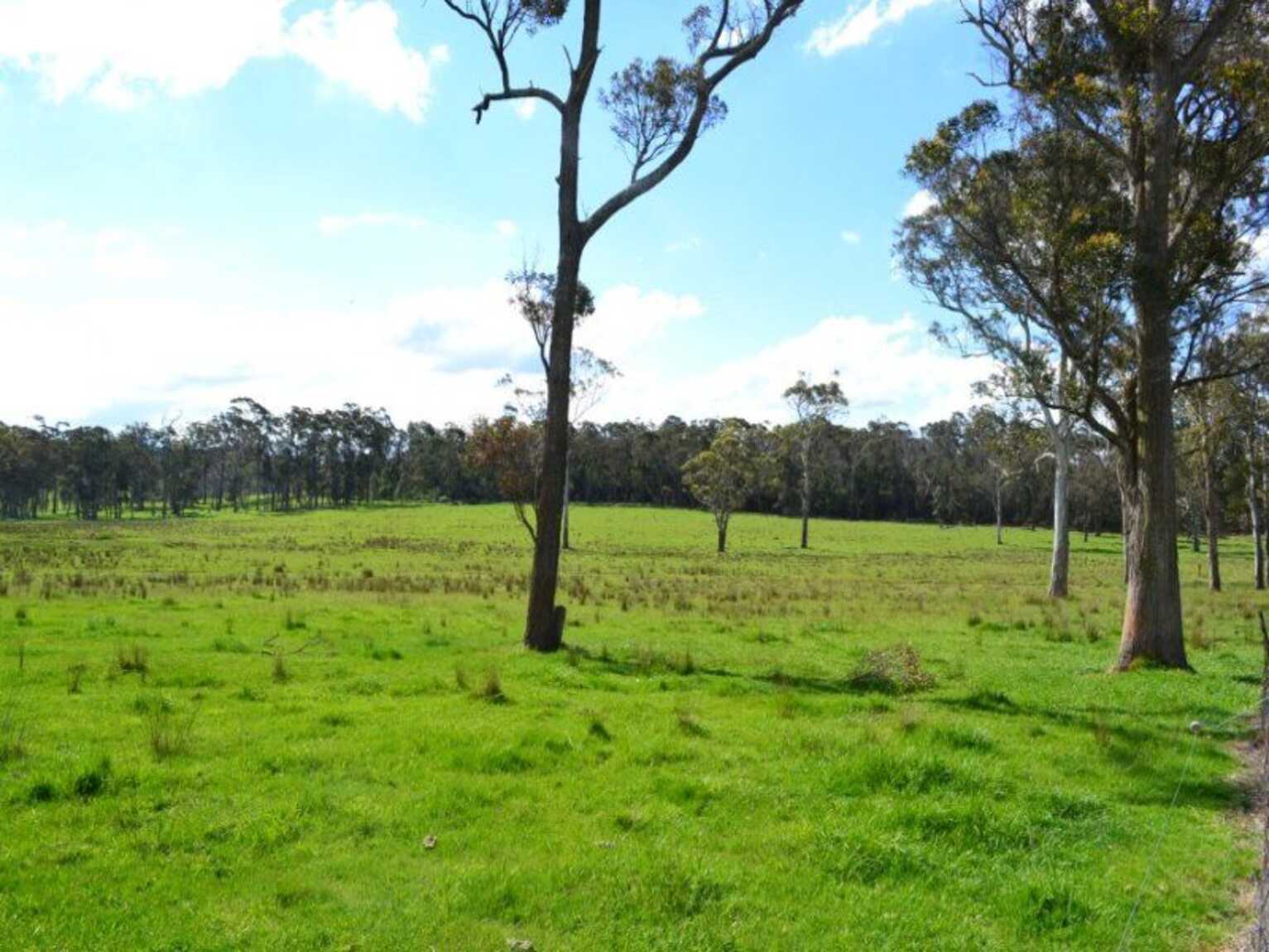 165 Aylmerton Road Mittagong 165 Aylmerton Road Mittagong