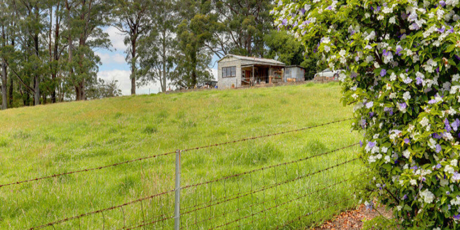 1260 Belmore Falls Road Wildes Meadow