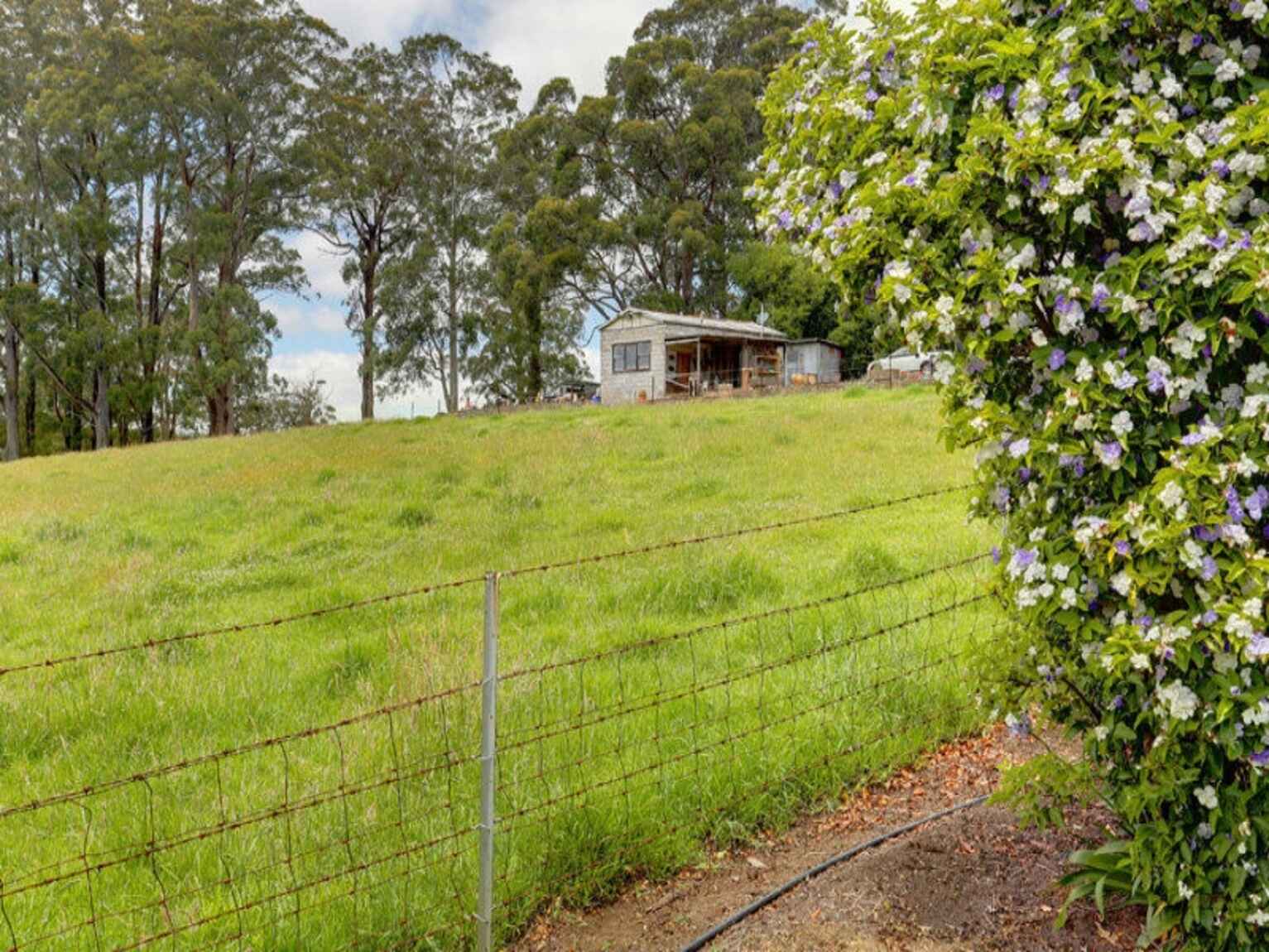 1260 Belmore Falls Road Wildes Meadow
