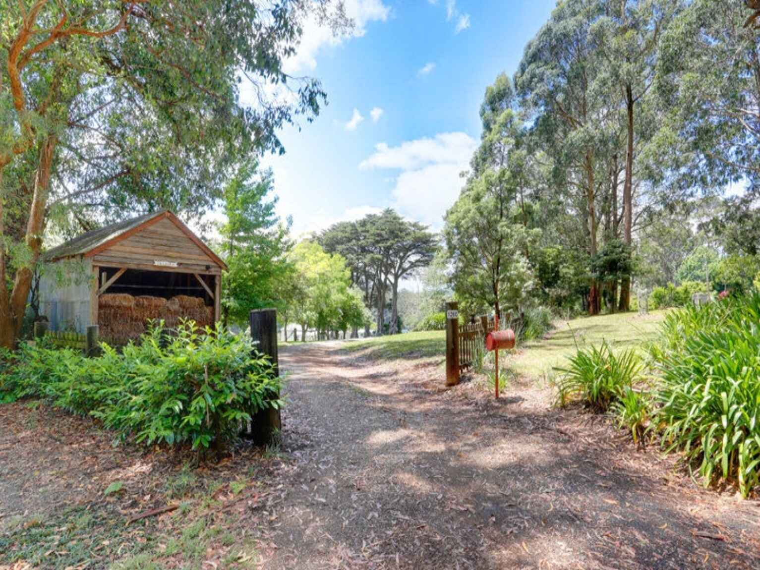 1260 Belmore Falls Road Wildes Meadow