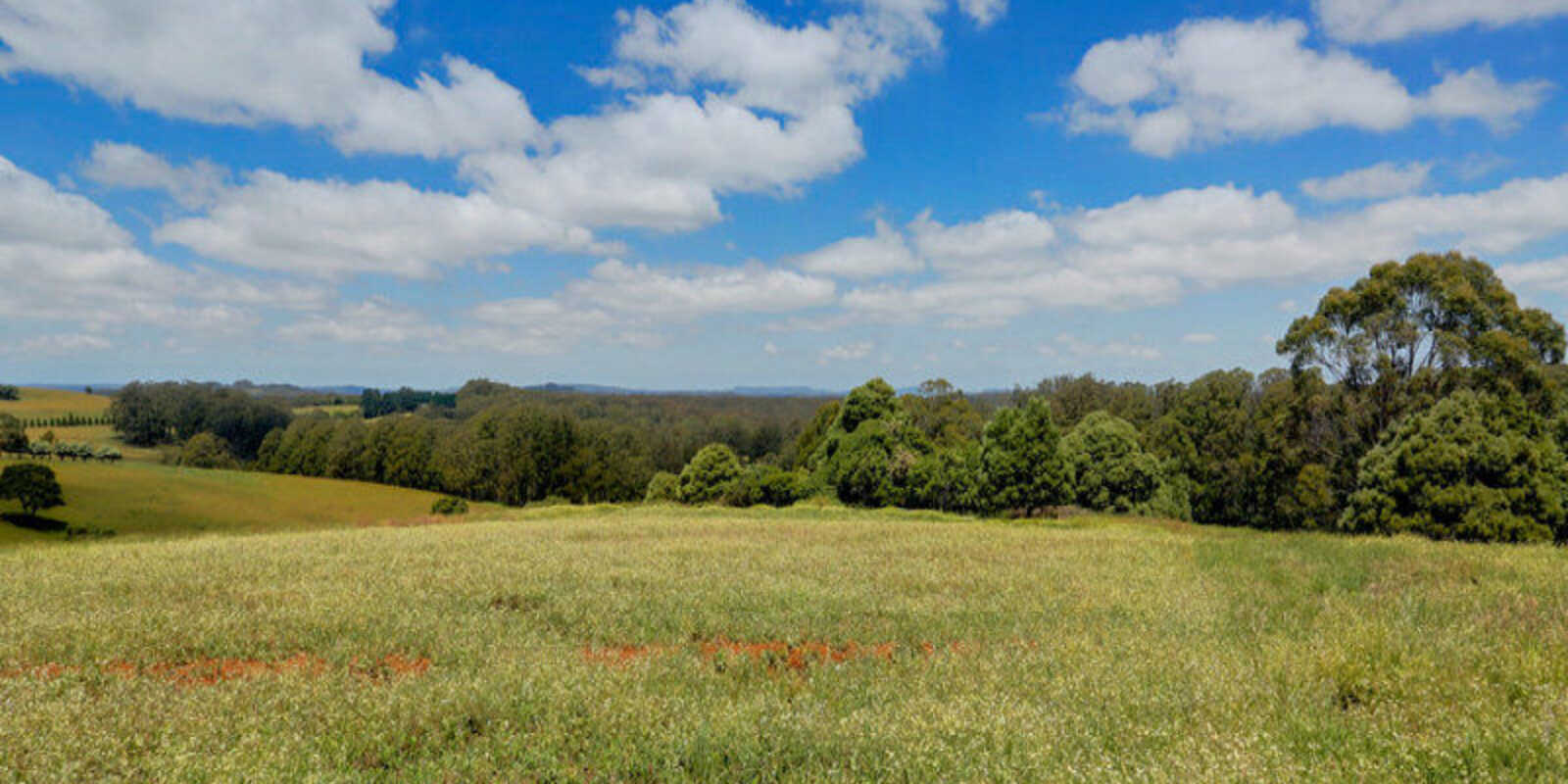 1260 Belmore Falls Road Wildes Meadow