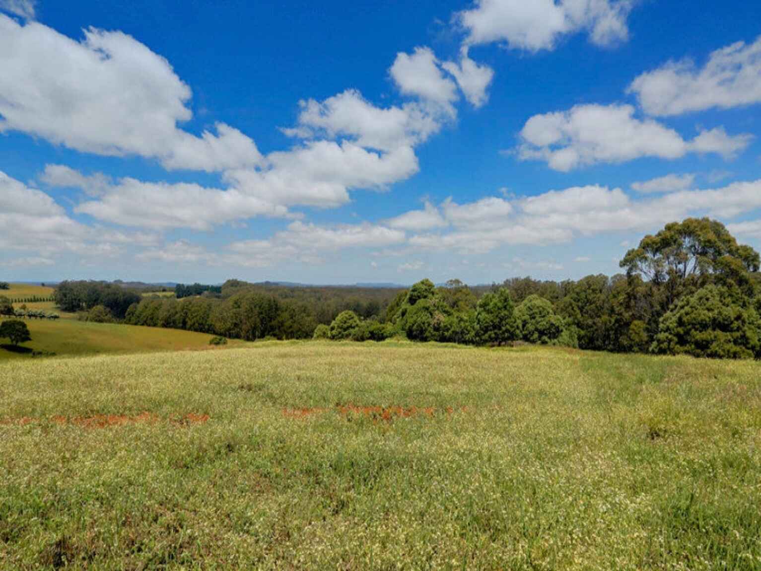 1260 Belmore Falls Road Wildes Meadow