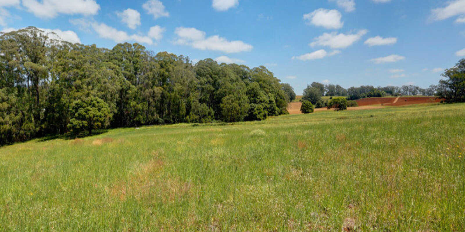 1260 Belmore Falls Road Wildes Meadow