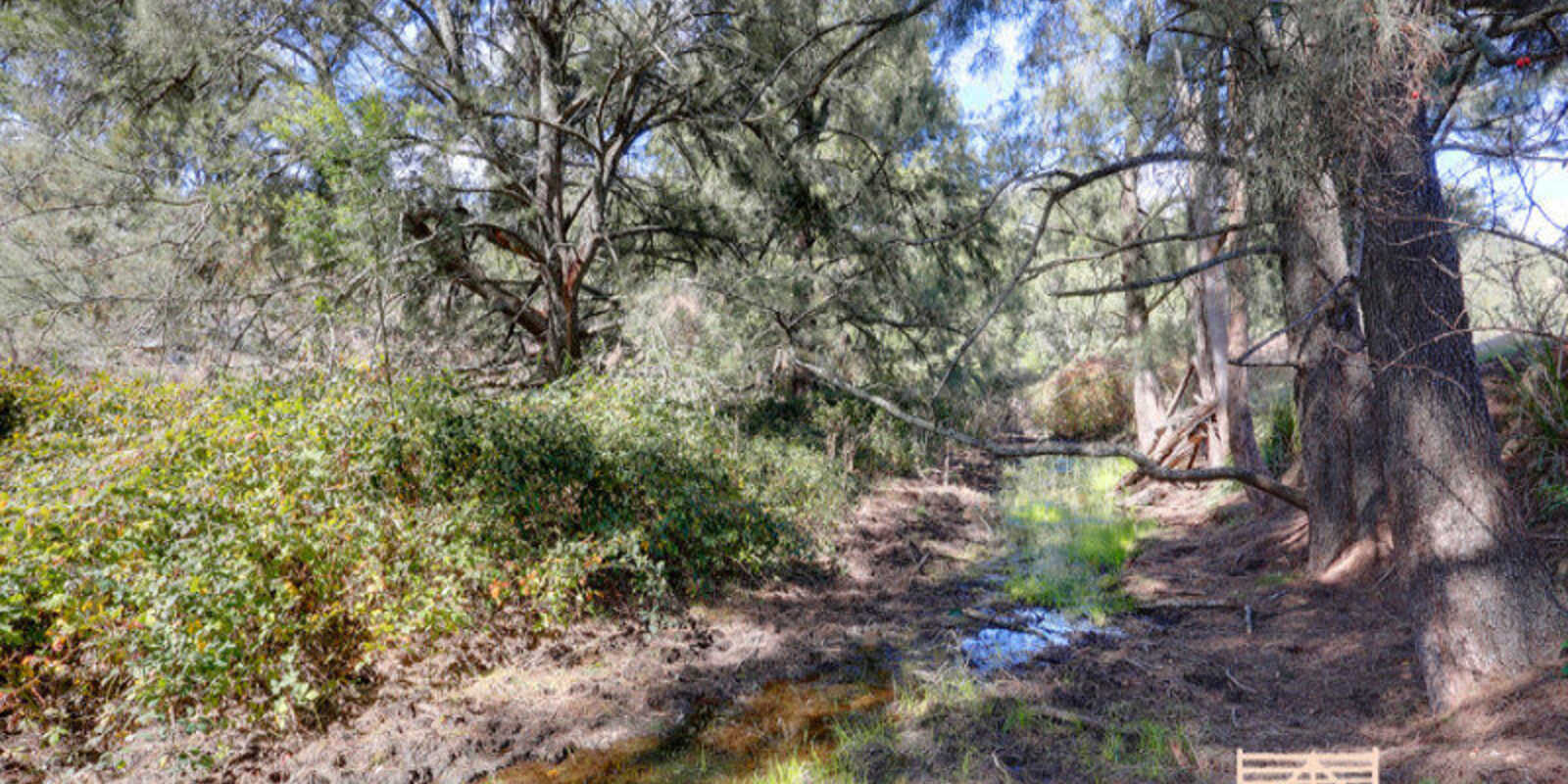 Lot 5 Wombeyan Caves Road Bullio