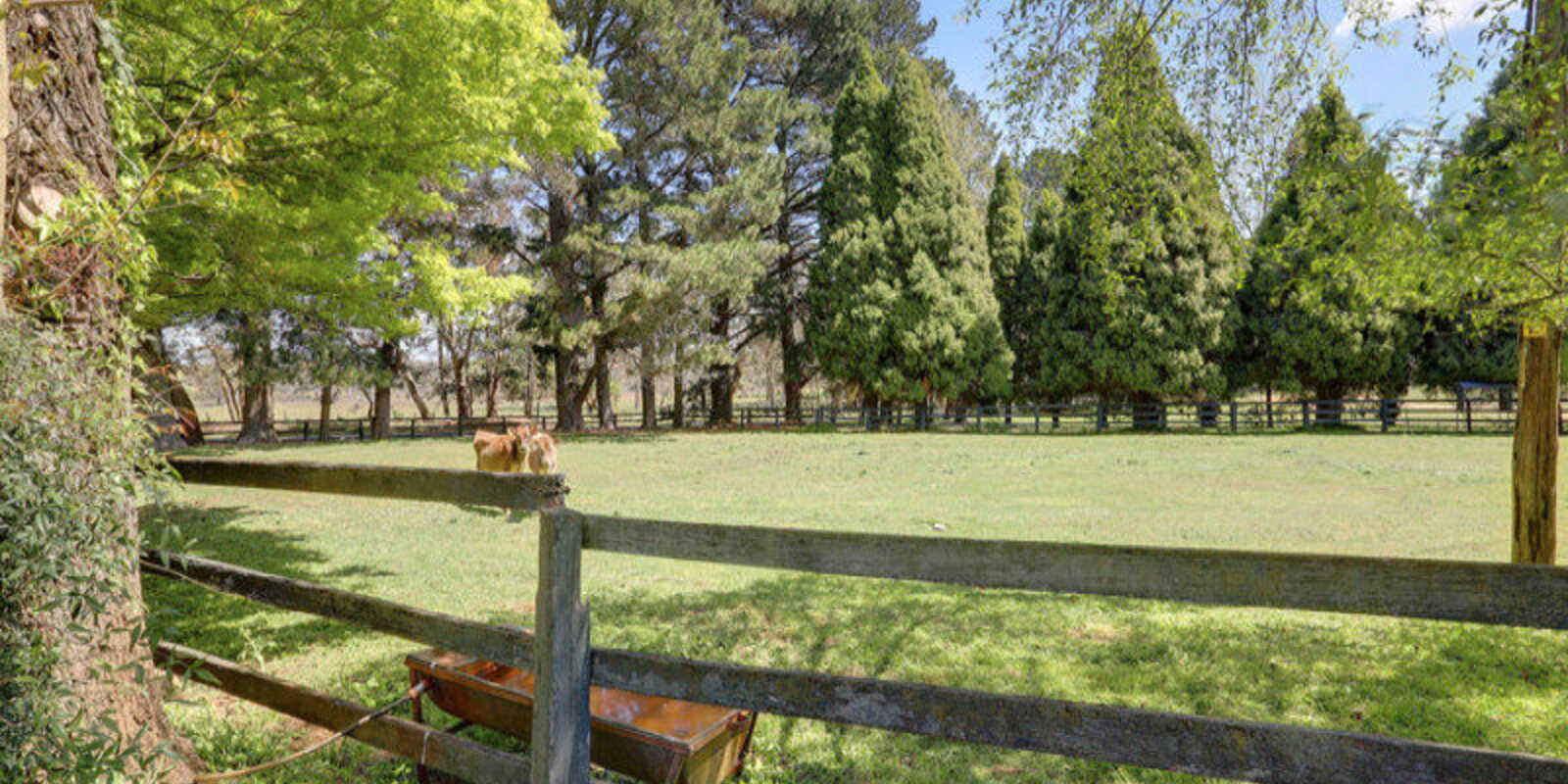 925 Nowra Road Fitzroy Falls 925 Nowra Road Fitzroy Falls