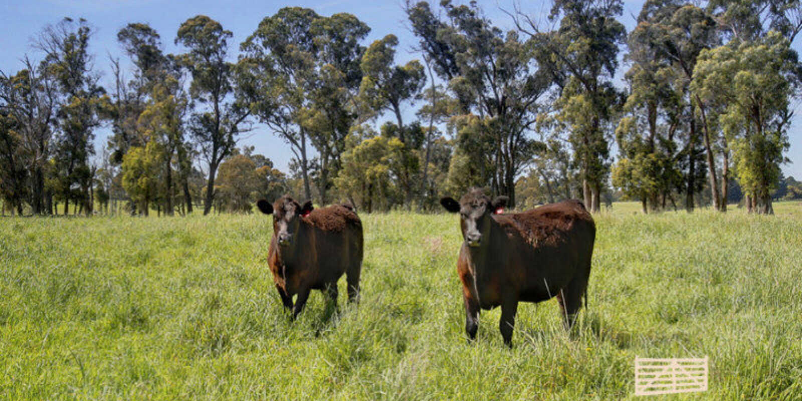 Lot 318 Illawarra Highway Moss Vale