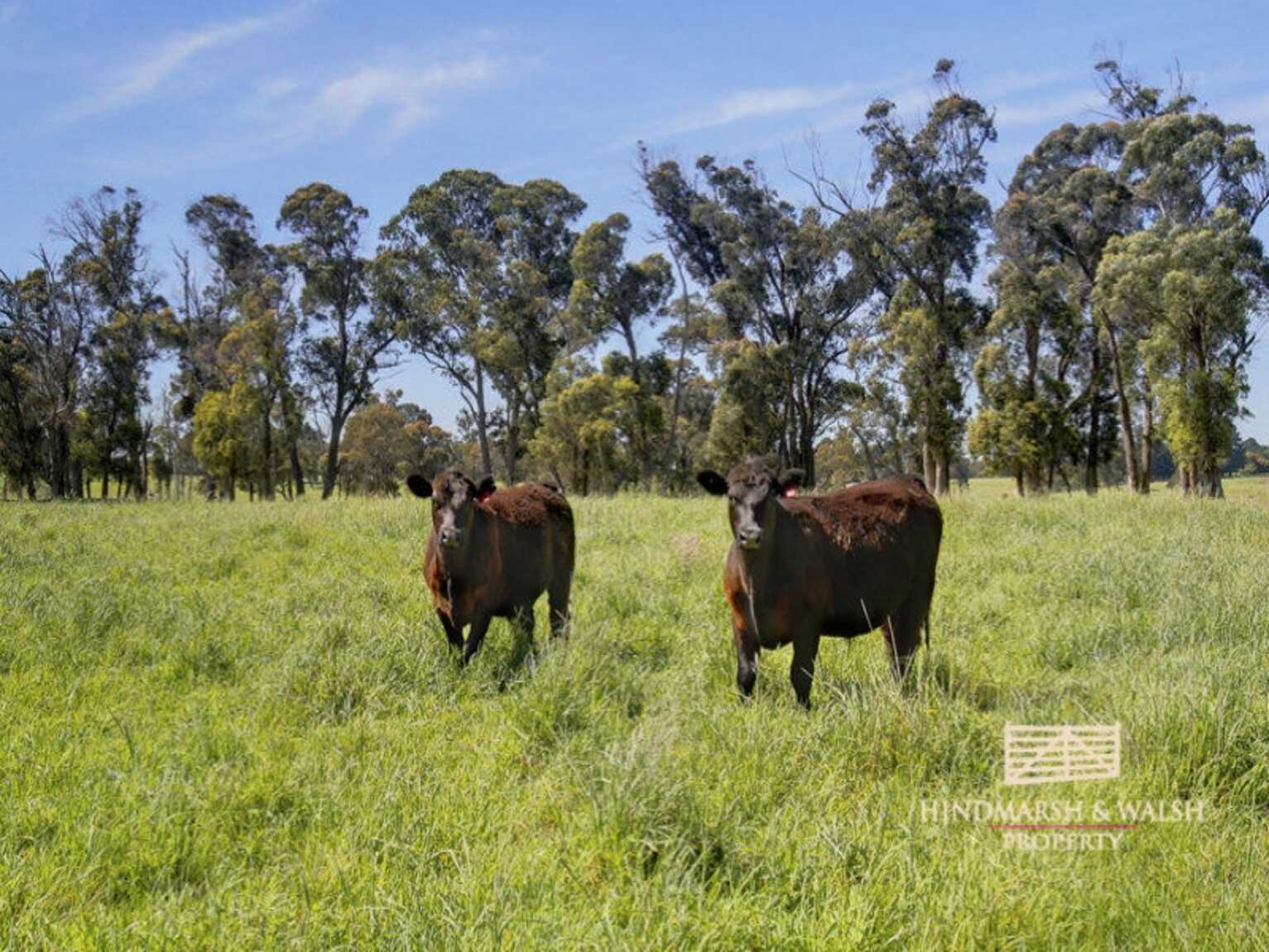 Lot 318 Illawarra Highway Moss Vale