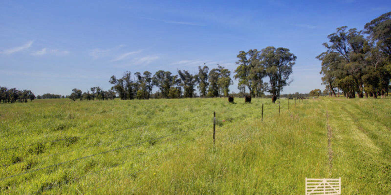 Lot 318 Illawarra Highway Moss Vale
