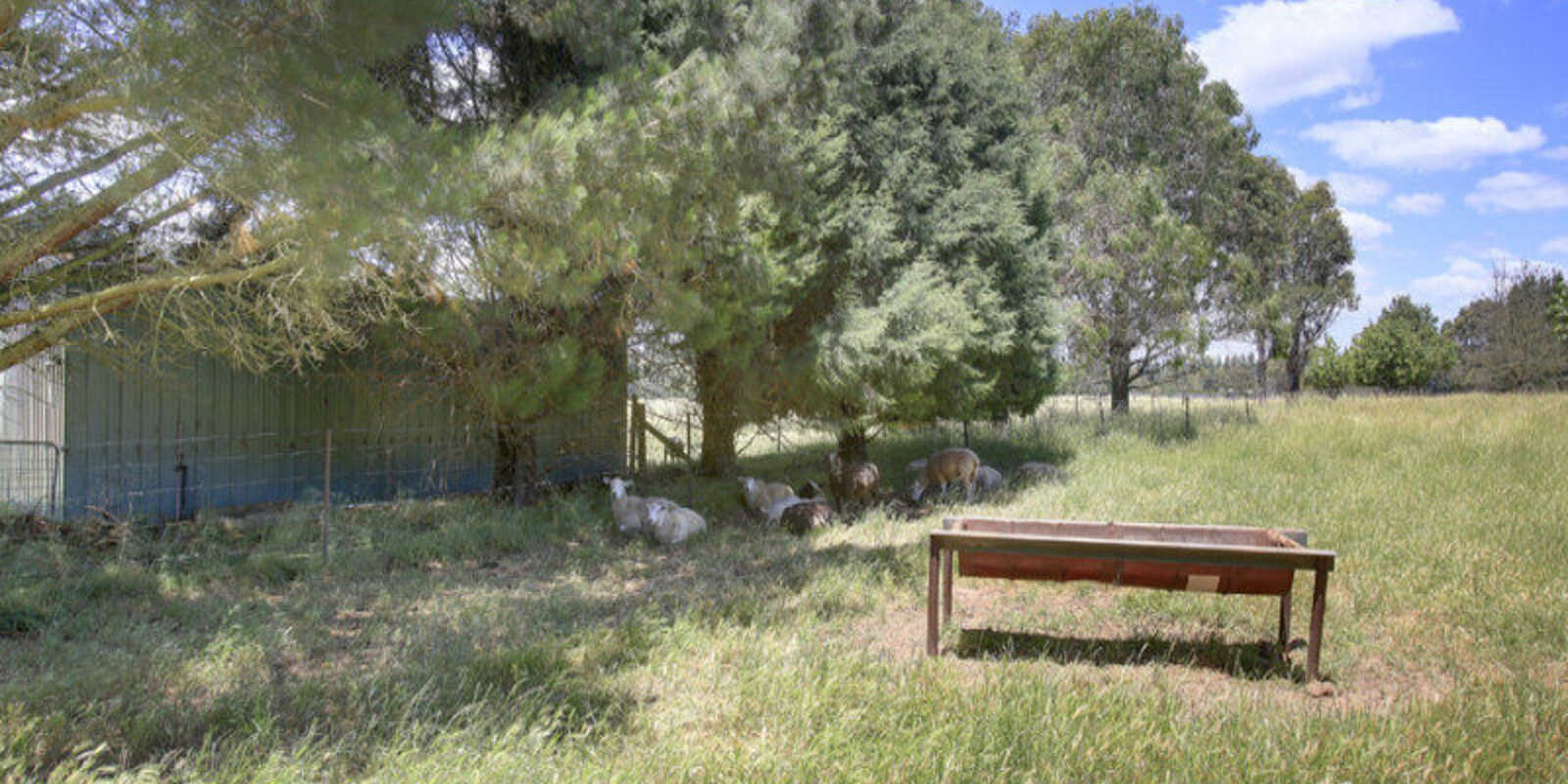 480 Golden Vale Road Sutton Forest