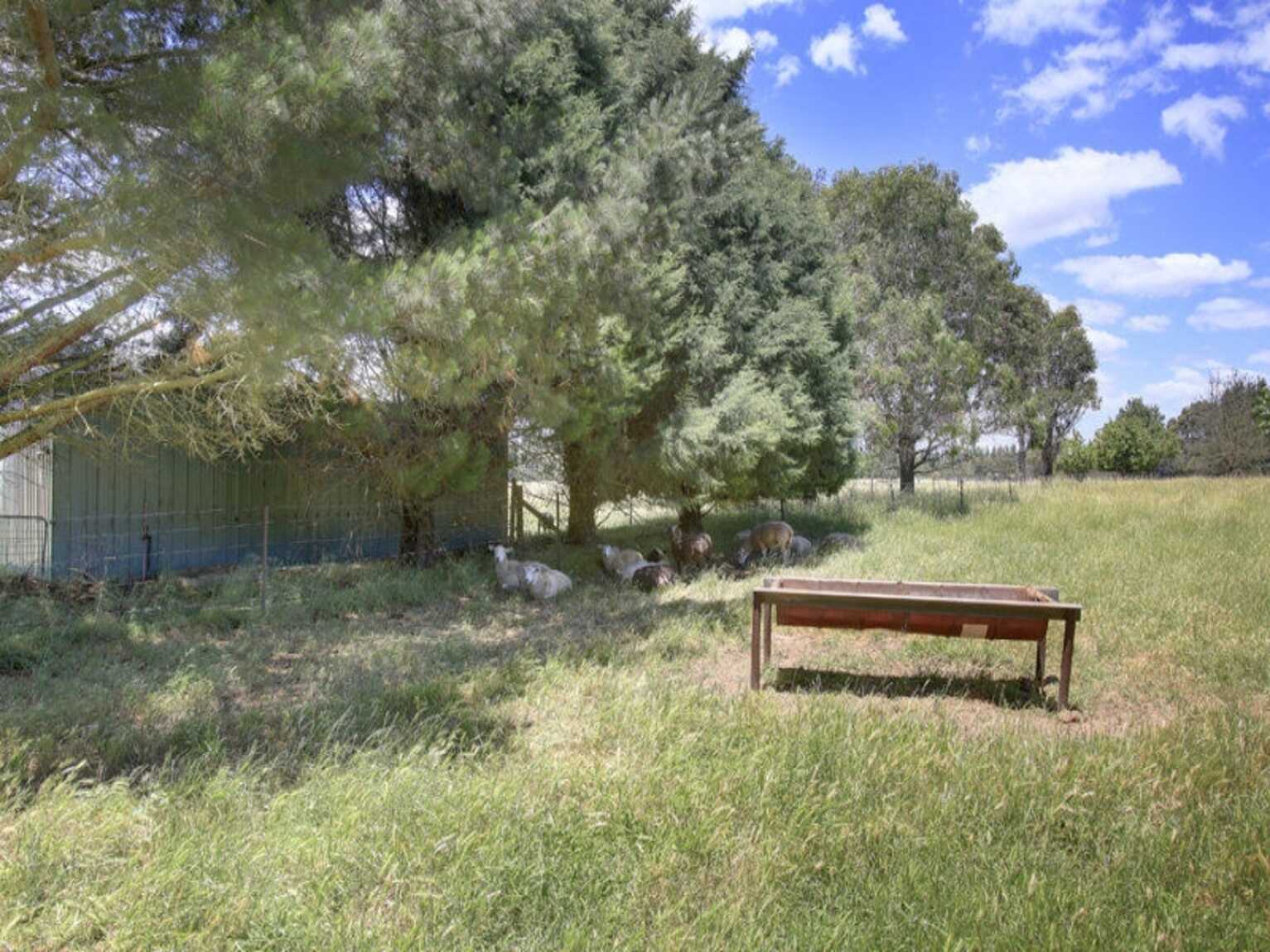 480 Golden Vale Road Sutton Forest