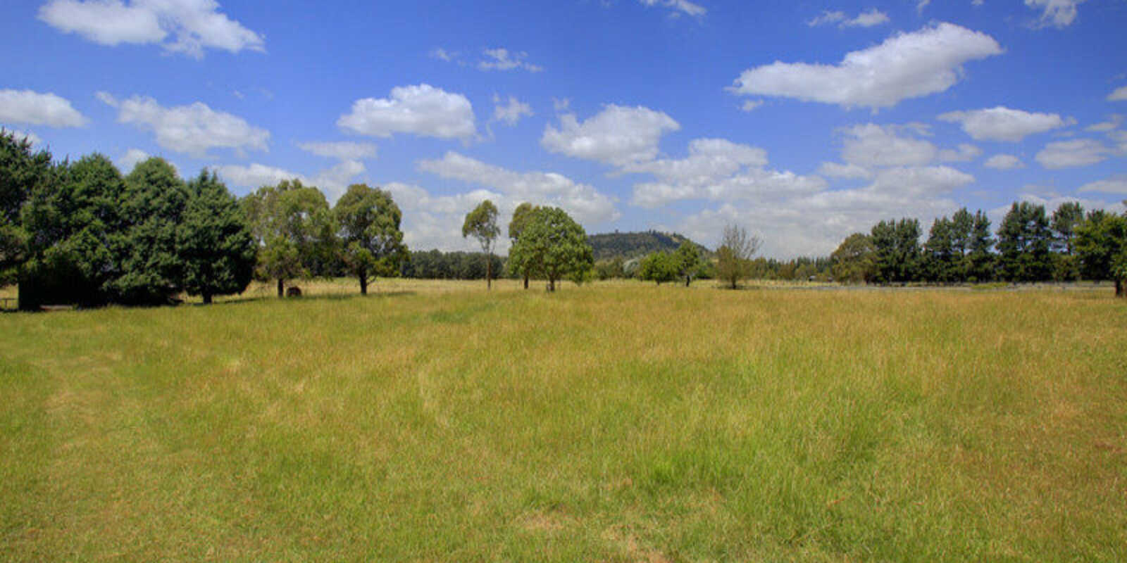 480 Golden Vale Road Sutton Forest