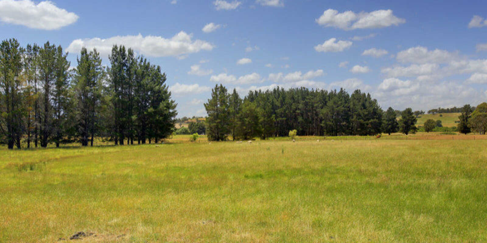 480 Golden Vale Road Sutton Forest