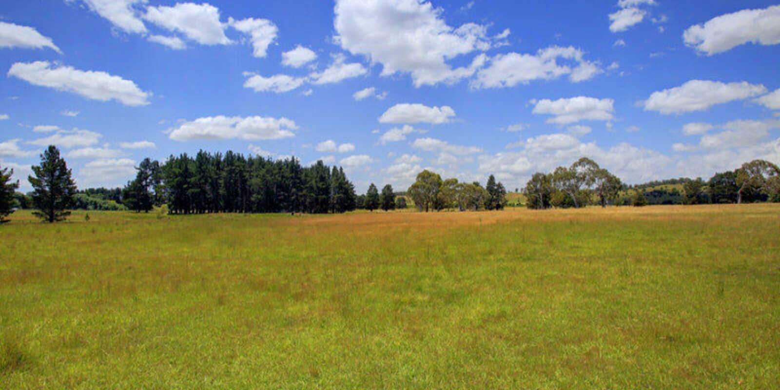 480 Golden Vale Road Sutton Forest