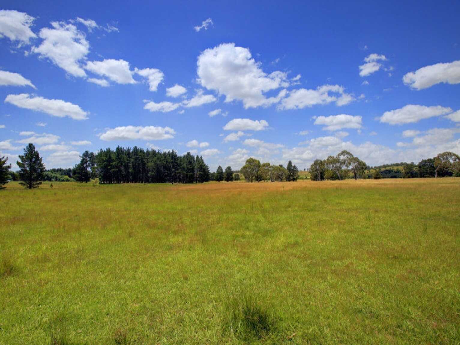 480 Golden Vale Road Sutton Forest