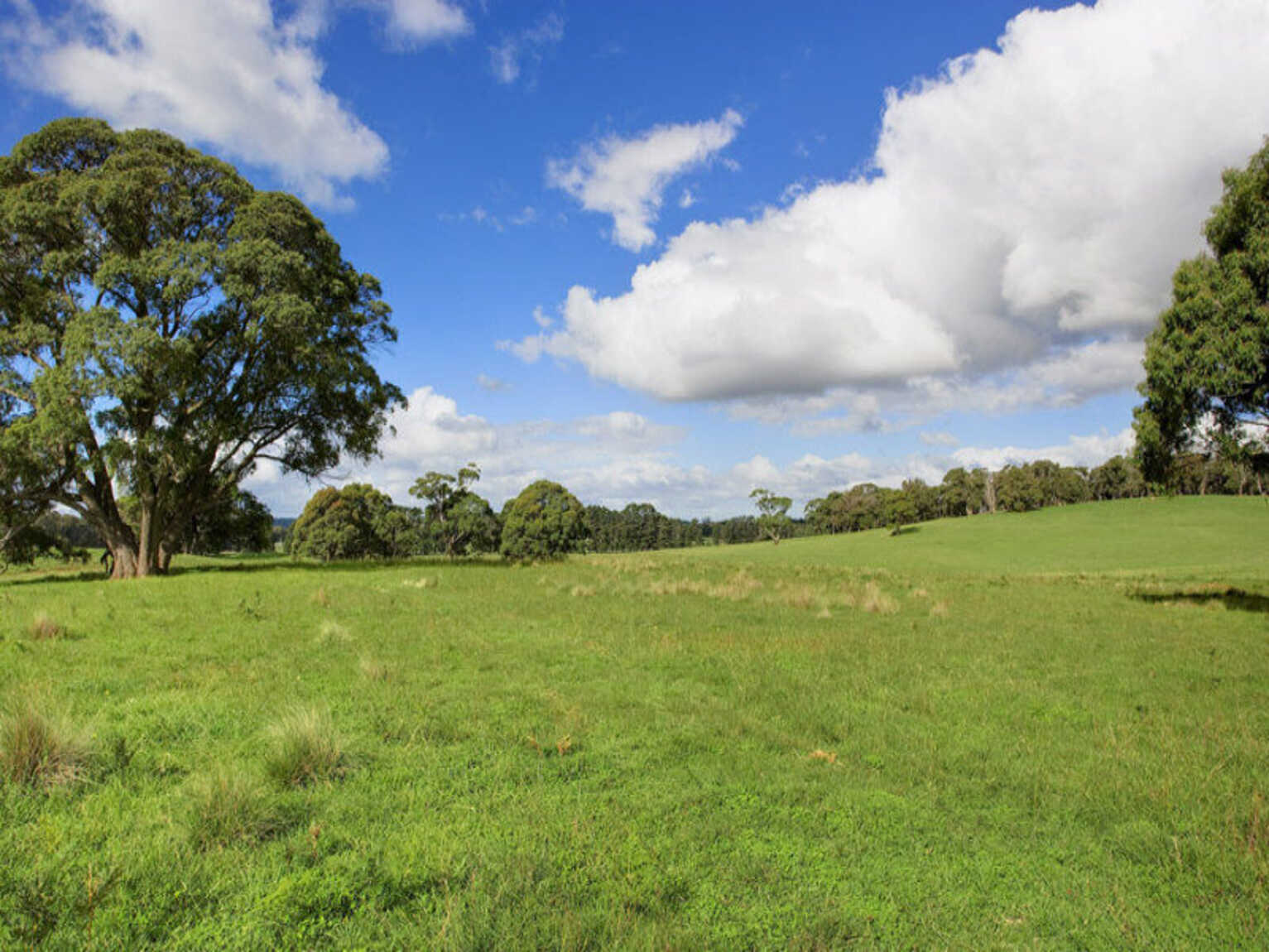Lot 1 Bumballa Road Wingello Lot 1 Bumballa Road Wingello