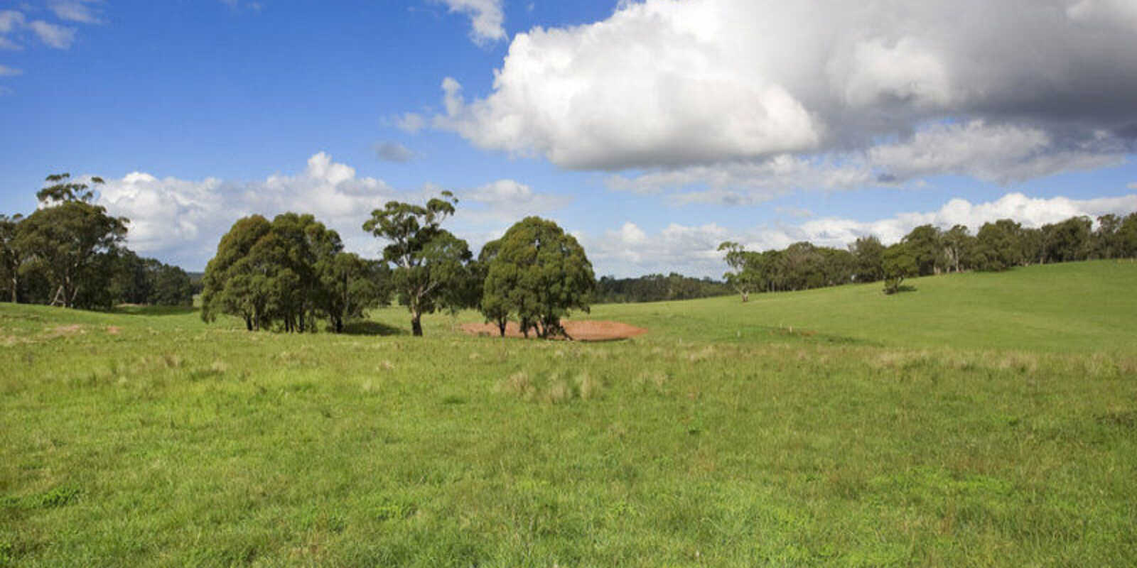 Lot 1 Bumballa Road Wingello Lot 1 Bumballa Road Wingello