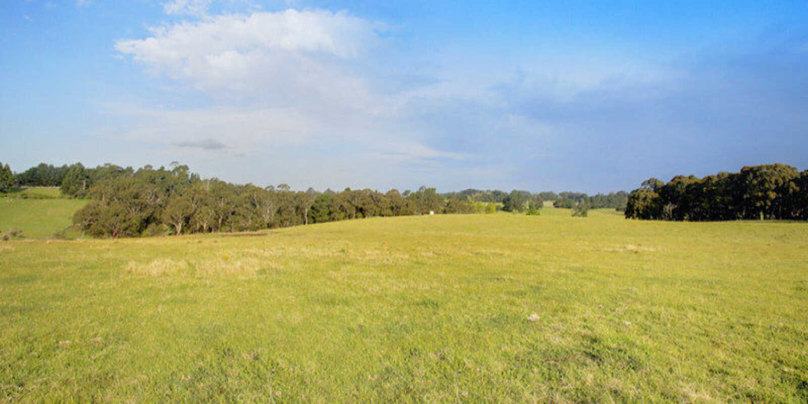 Lot 6 Ellsmore Road Exeter
