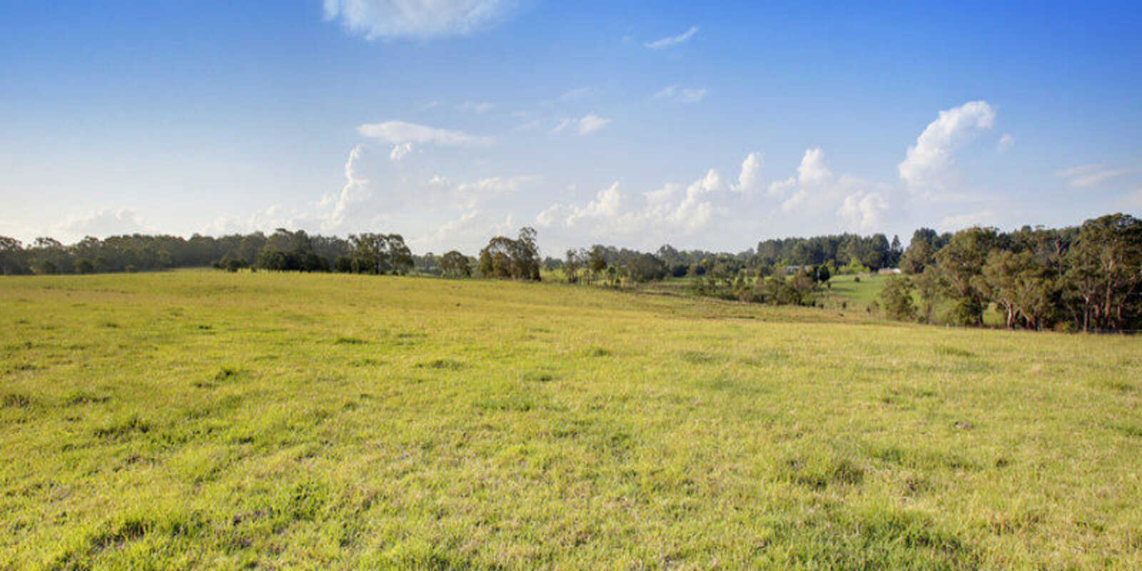 Lot 6 Ellsmore Road Exeter