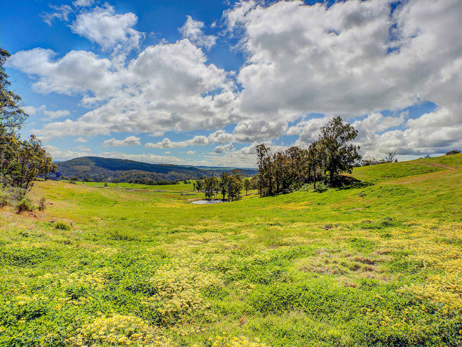 315 Nandi Road Canyonleigh 315 Nandi Road Canyonleigh