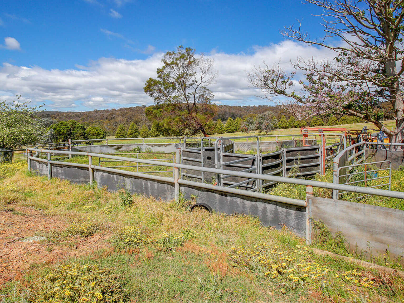 315 Nandi Road Canyonleigh 315 Nandi Road Canyonleigh