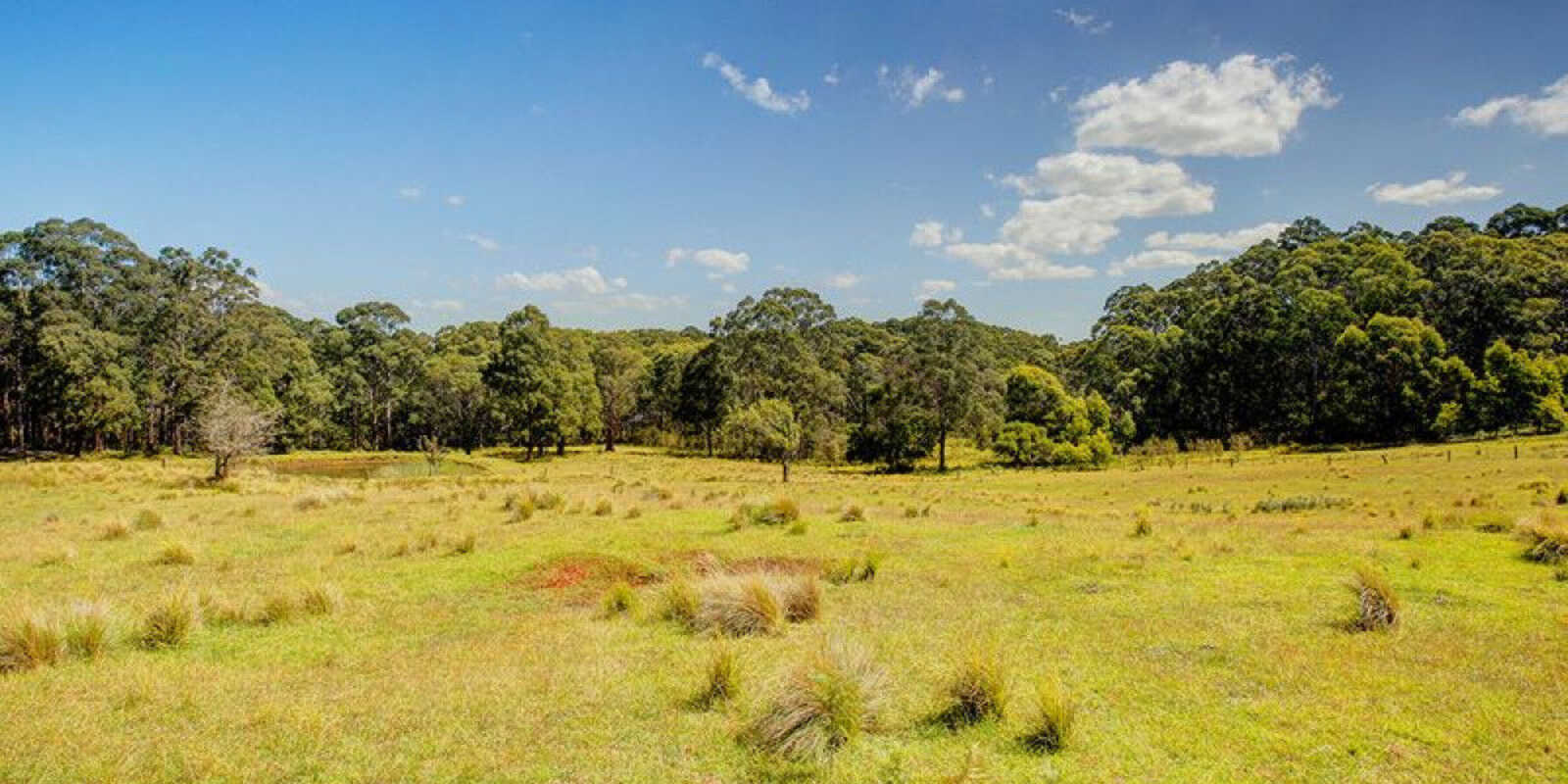 209 Spring Hills Road Meryla