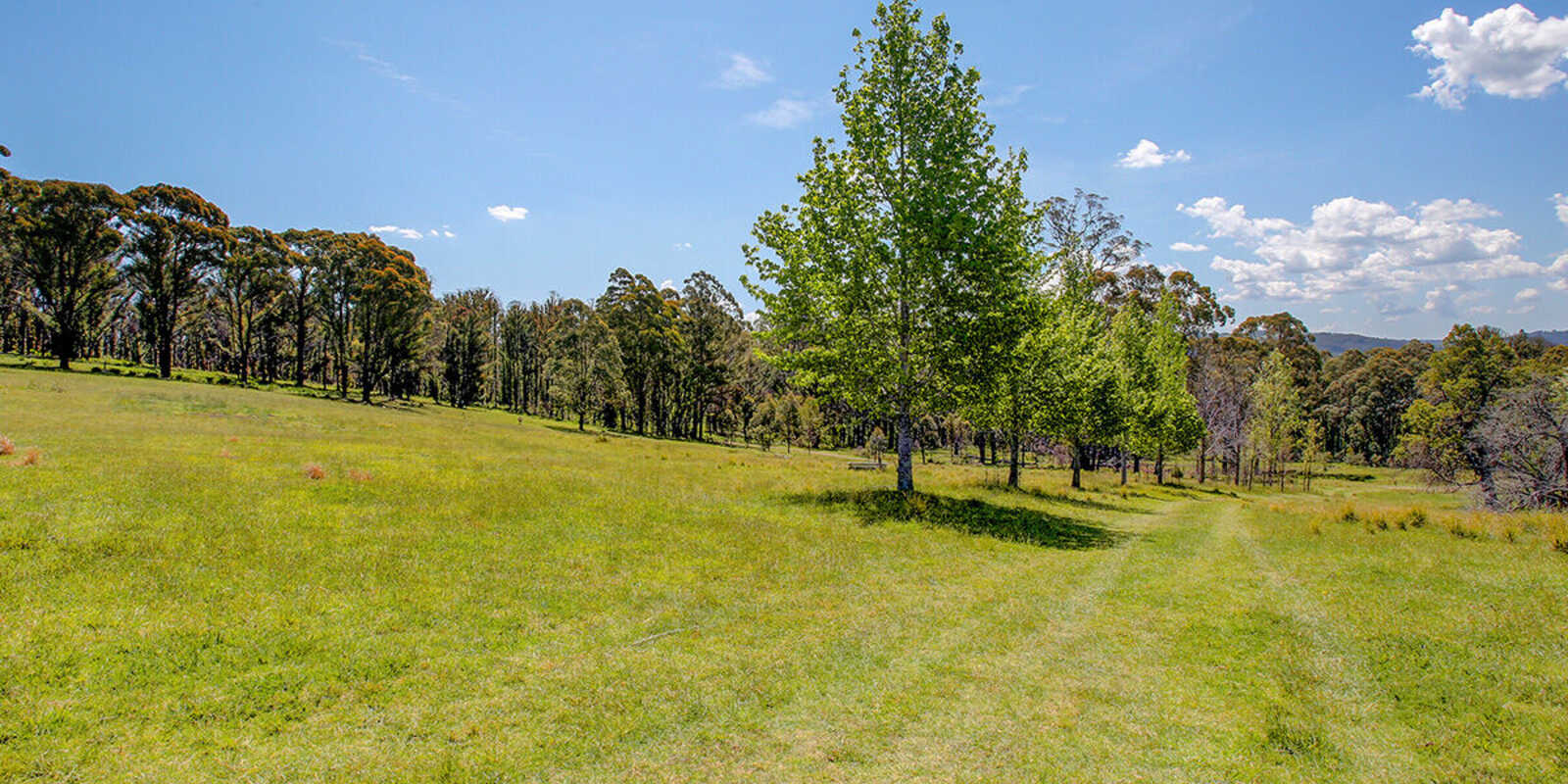 209 Spring Hills Road Meryla