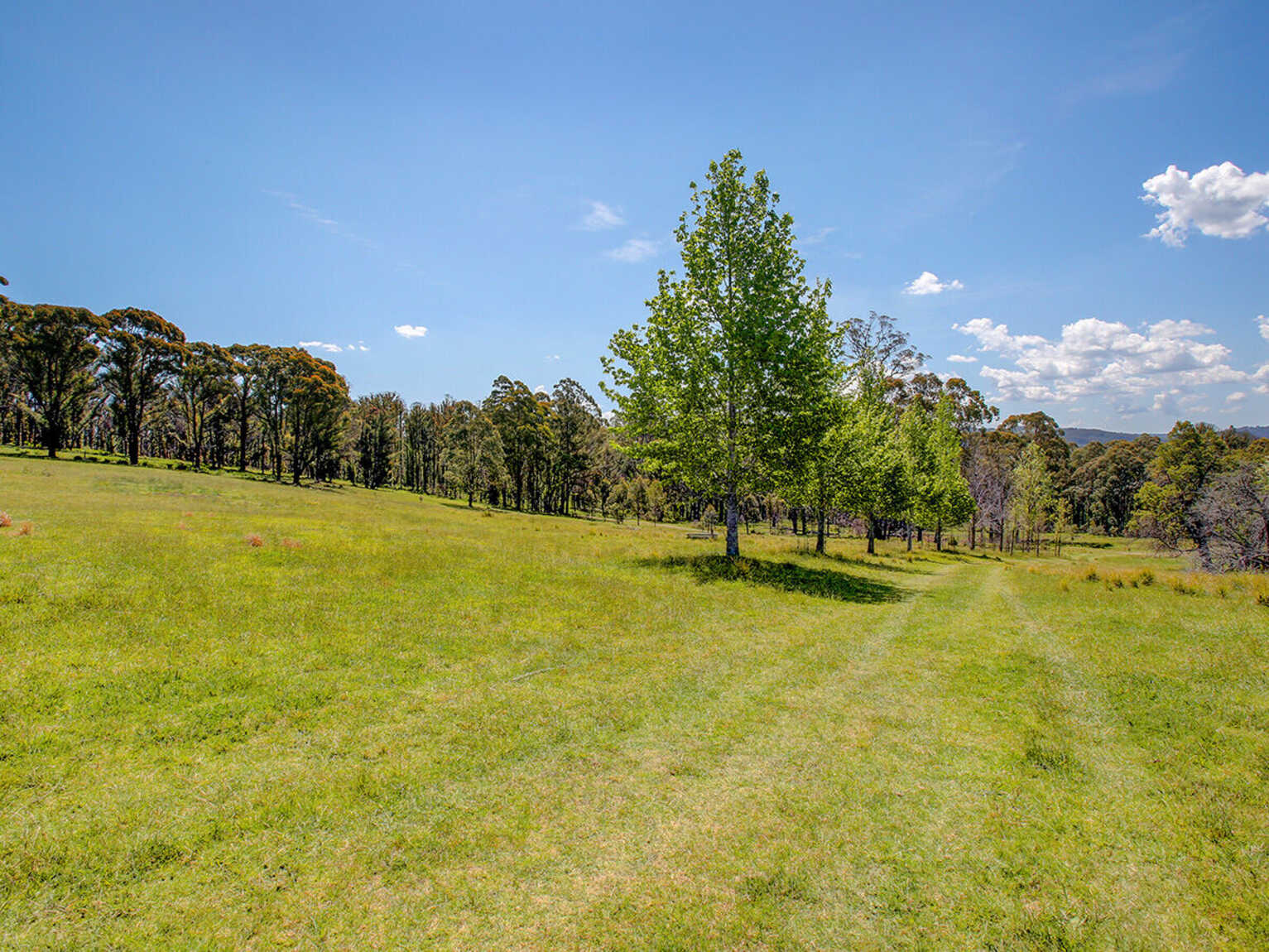 209 Spring Hills Road Meryla