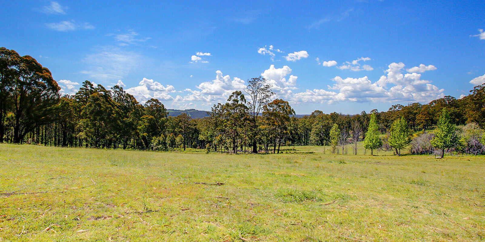 209 Spring Hills Road Meryla