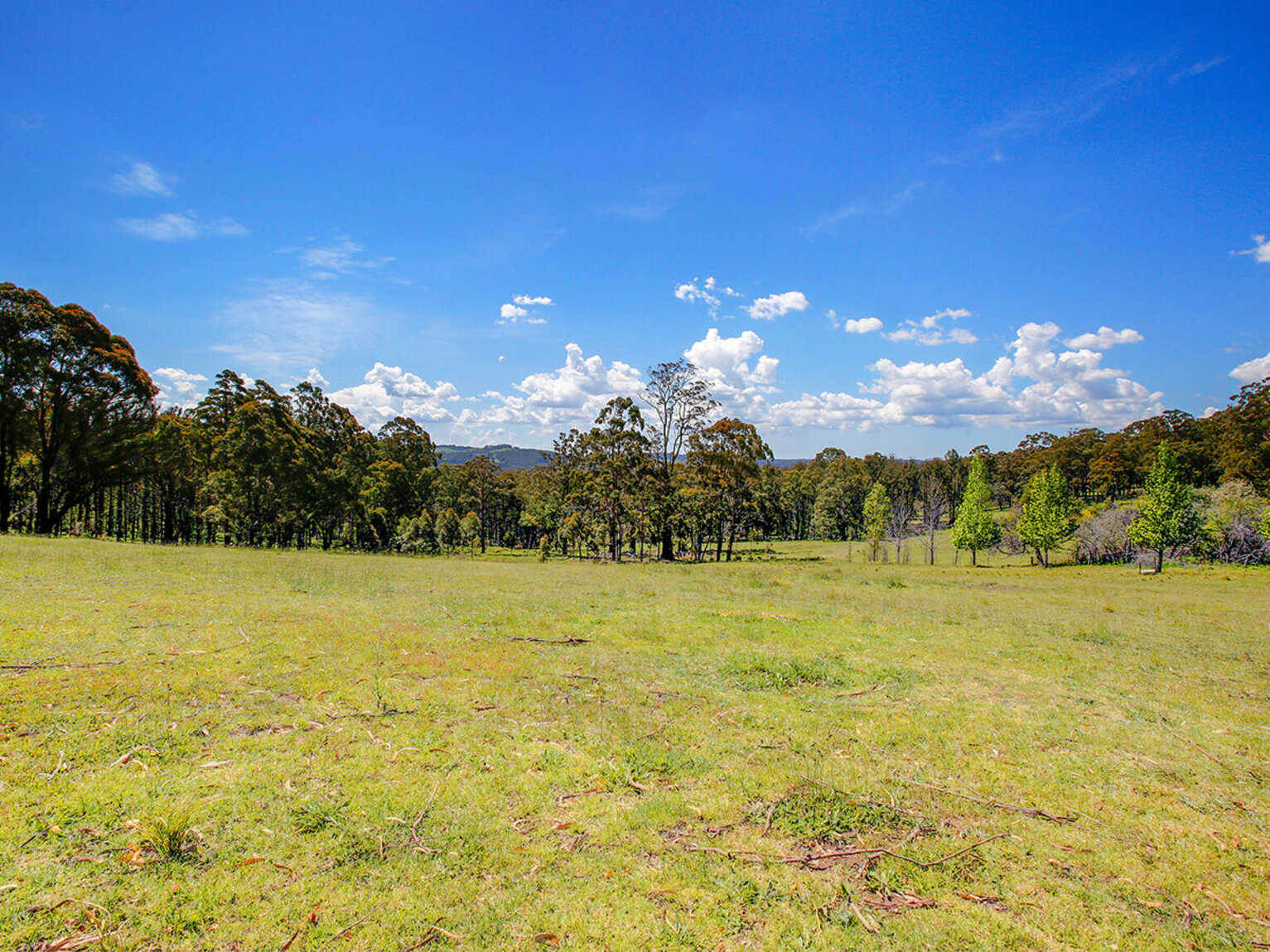 209 Spring Hills Road Meryla