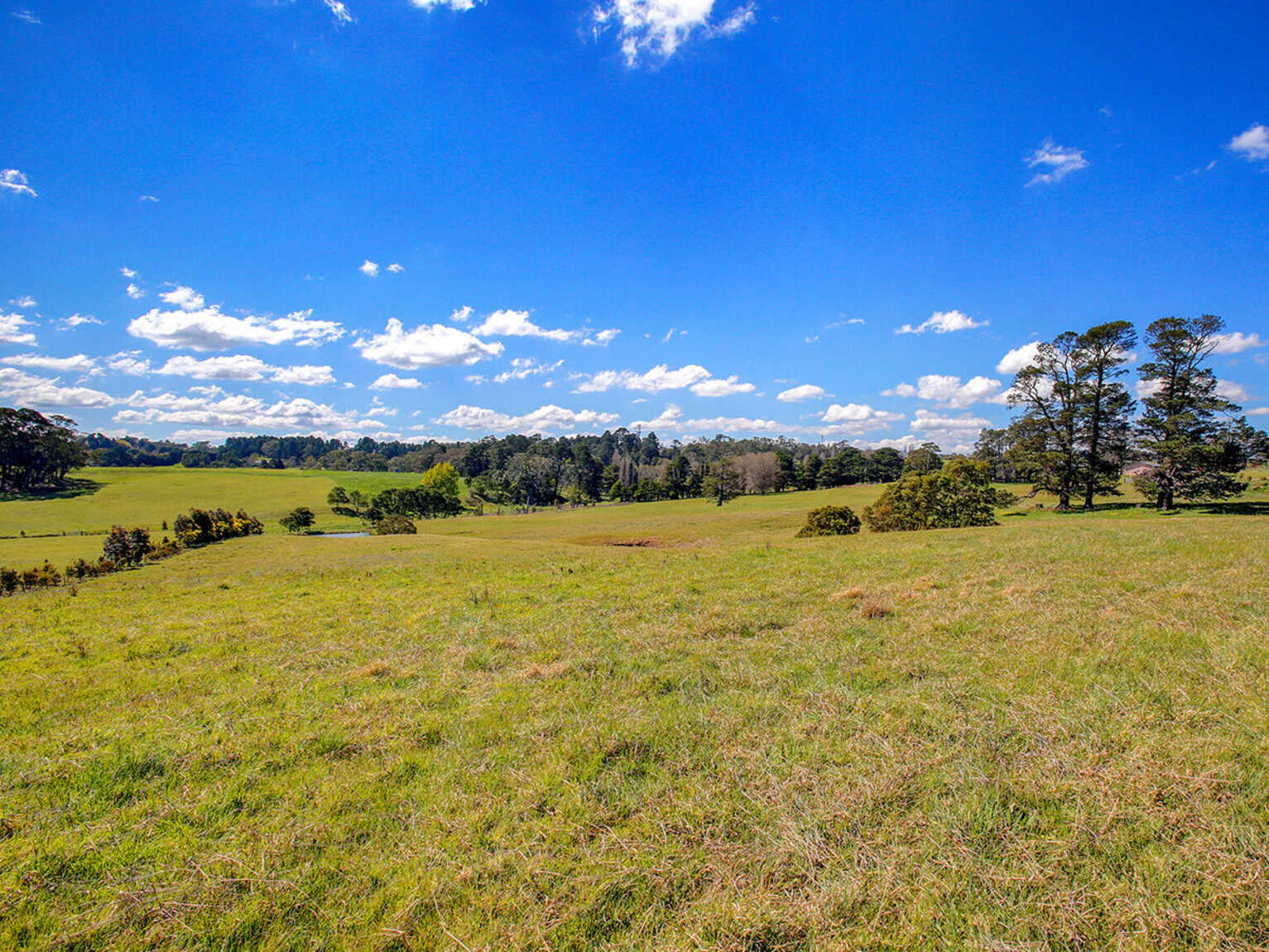 76 Ringwood Lane Exeter