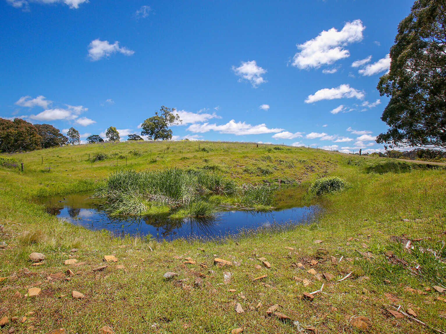 705 Caoura Road Tallong