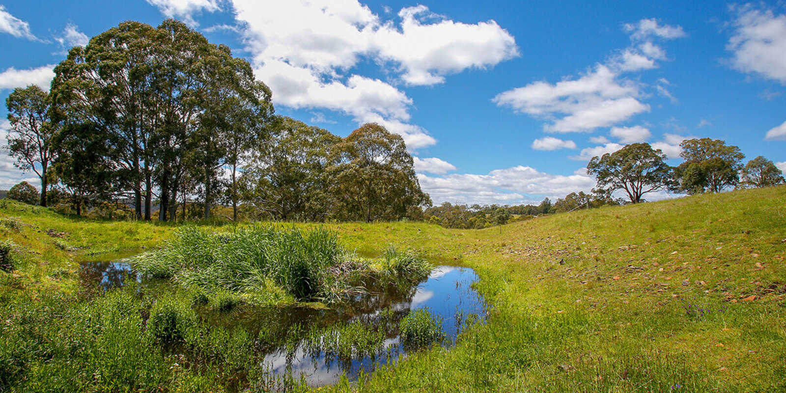 705 Caoura Road Tallong