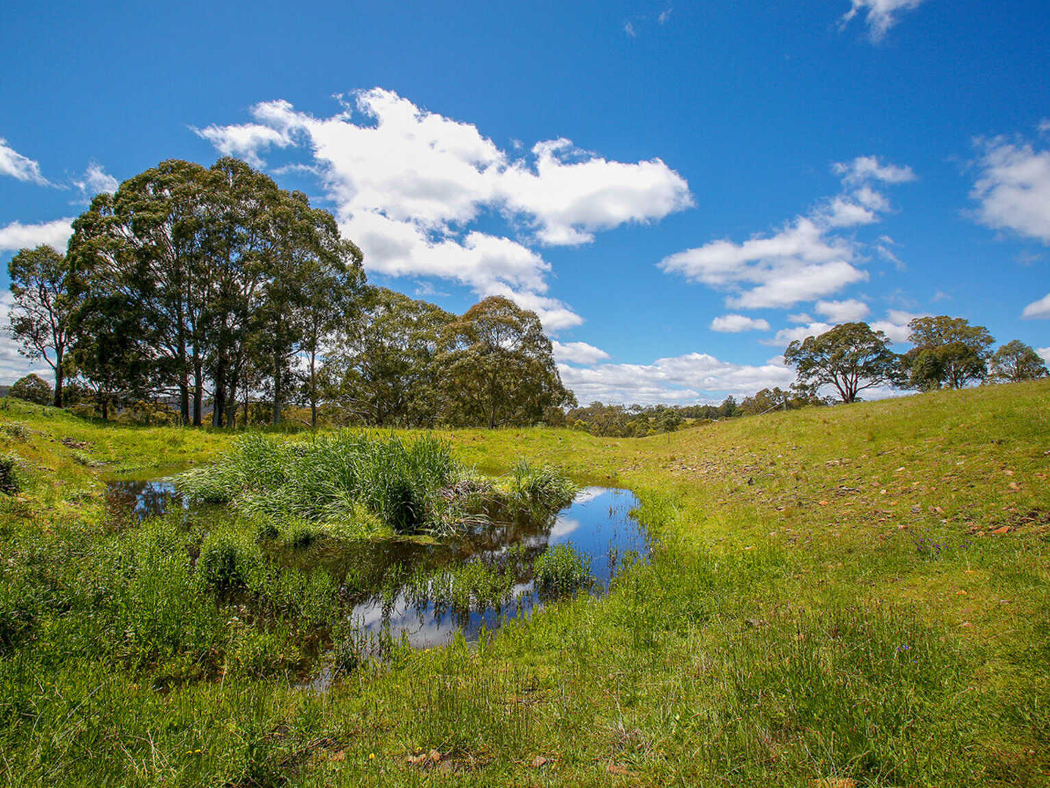 705 Caoura Road Tallong