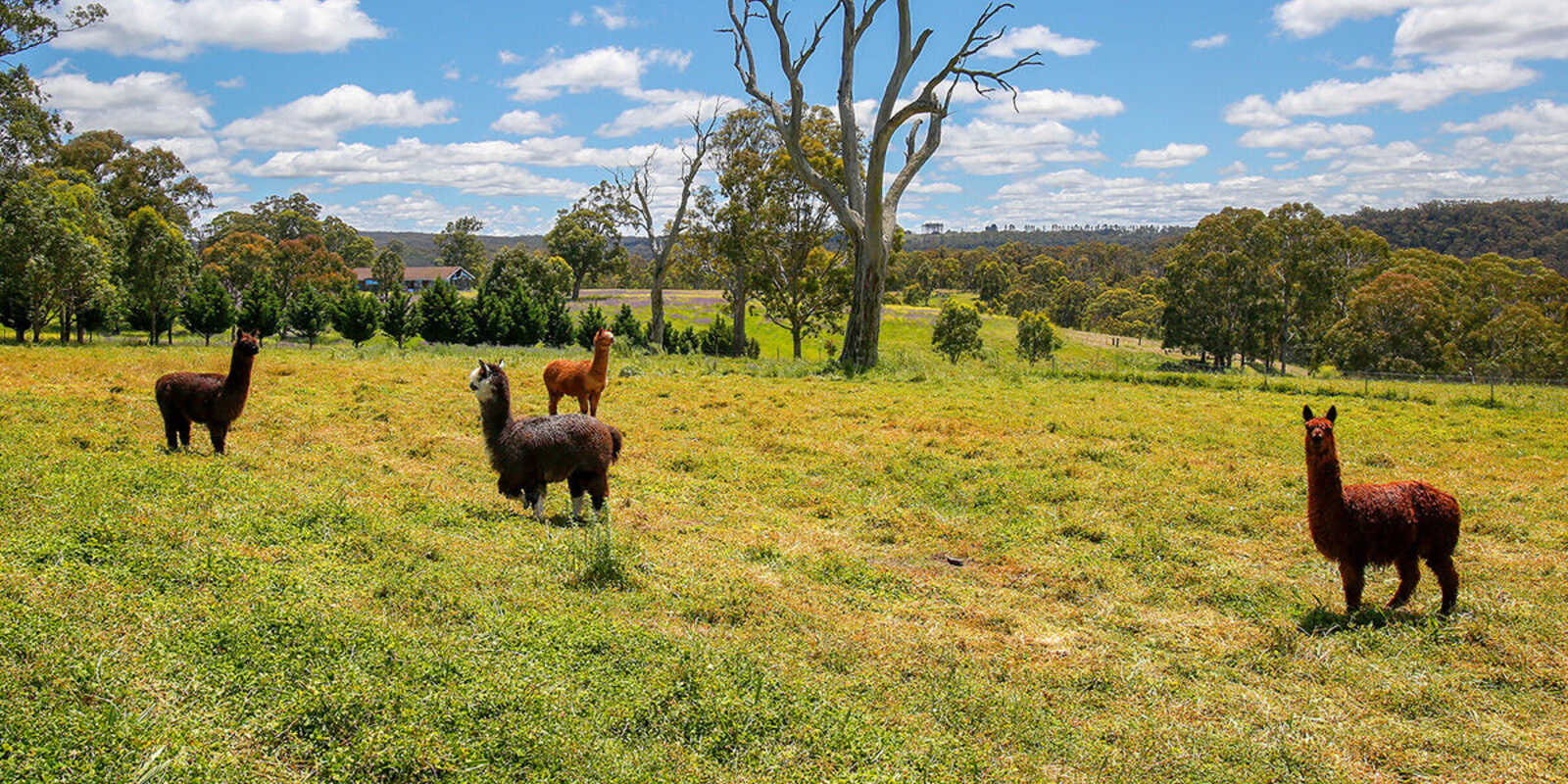 705 Caoura Road Tallong