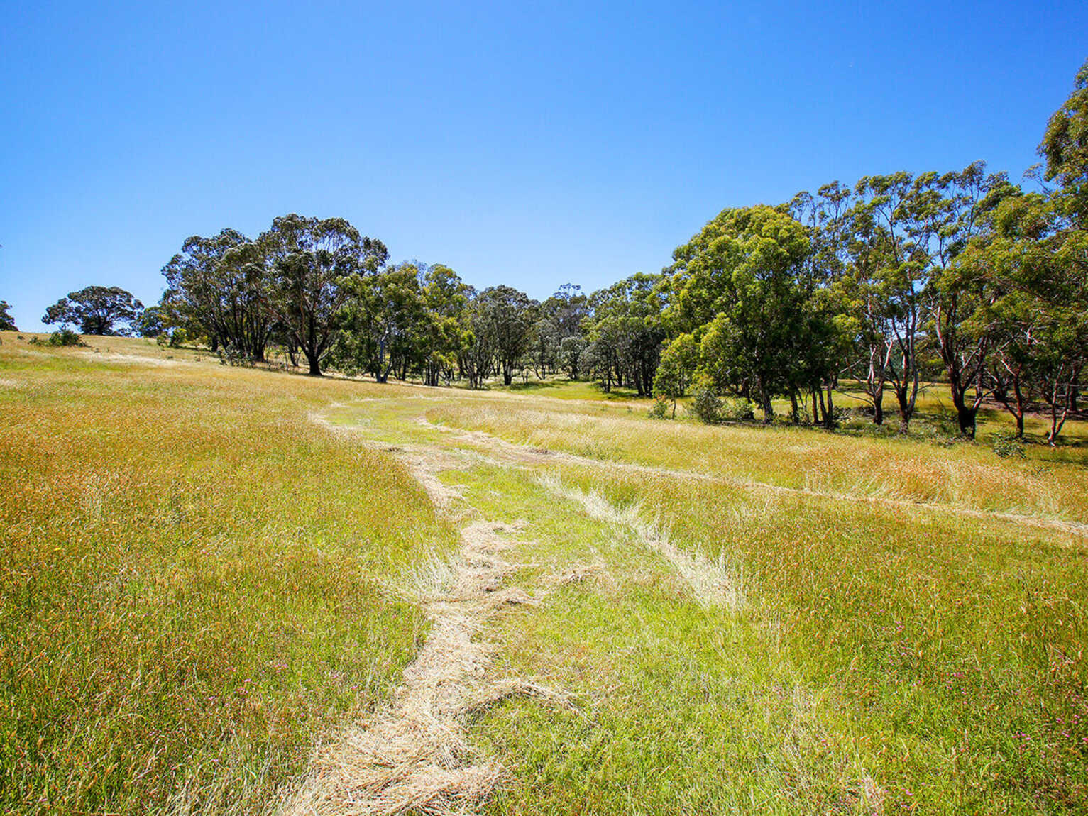 Lot 3 & Lot 4 Murrimba Road Wingello