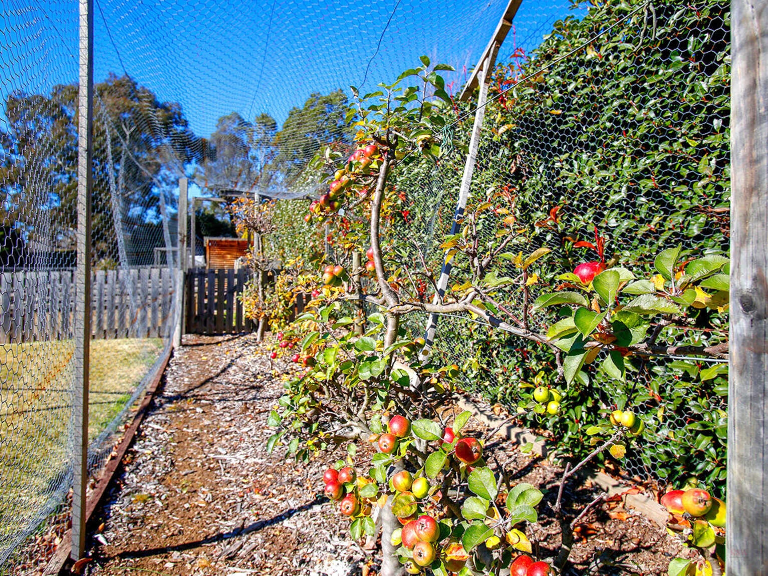 63 Ellsmore Road Bundanoon