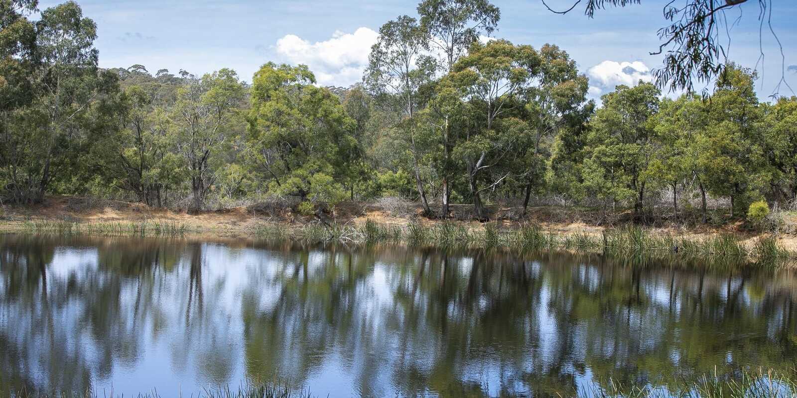  Moss Vale