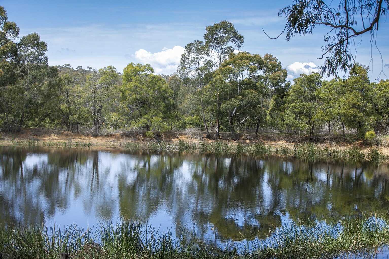  Moss Vale