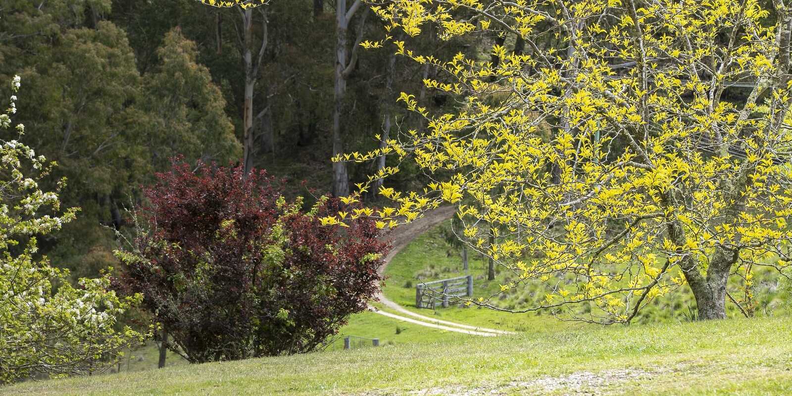  Moss Vale