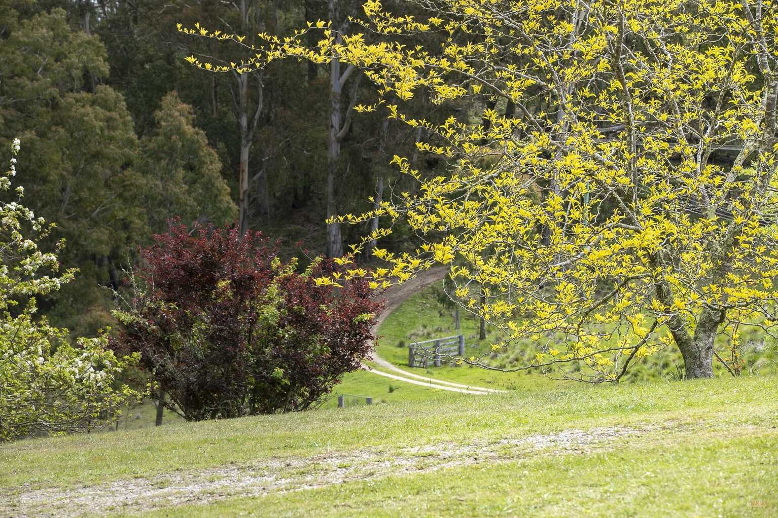  Moss Vale